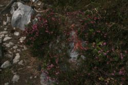 2011-04-24_Regina-F-Rau_Brunnstein-Spitze (089).JPG